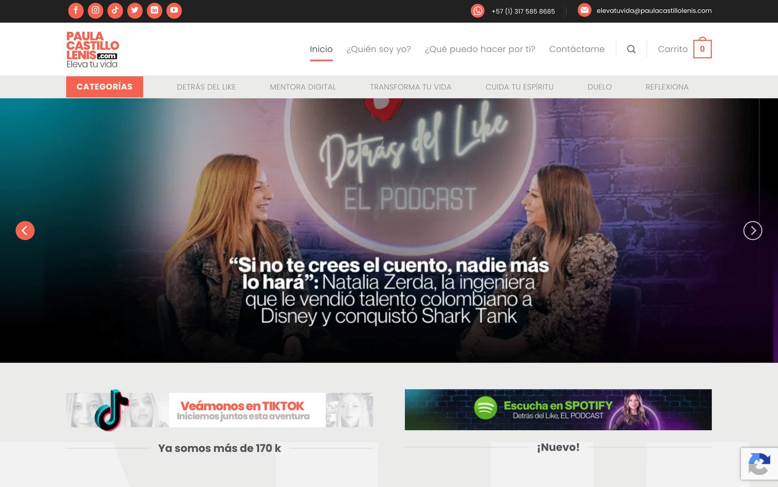 Proyecto Paula Castillo Lenis desarrollado por Leo Romero